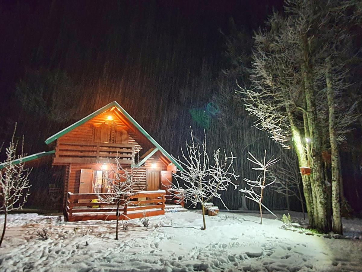 コラシン Vikendica Crkvinaヴィラ エクステリア 写真
