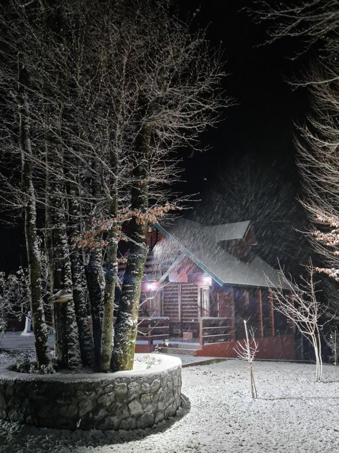 コラシン Vikendica Crkvinaヴィラ エクステリア 写真